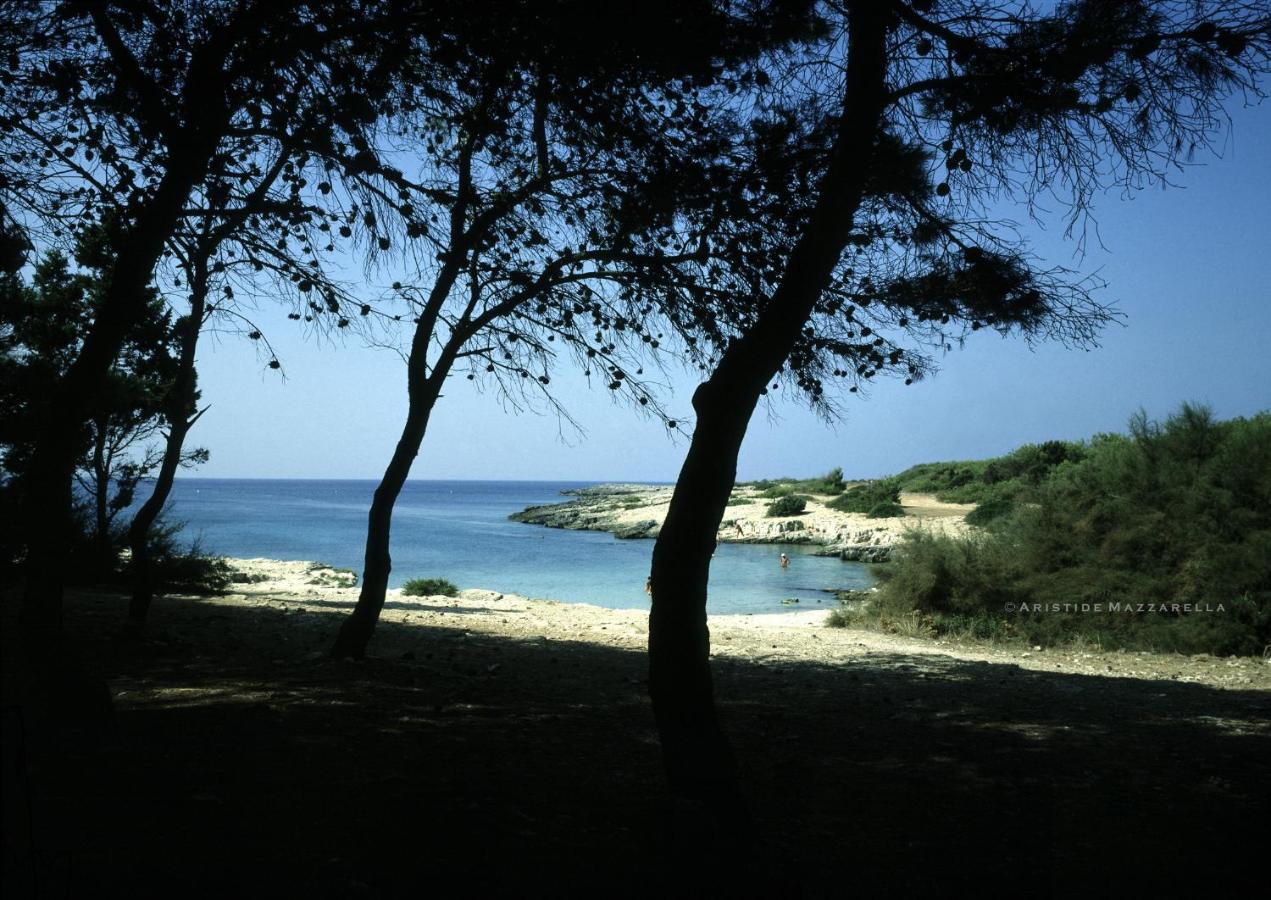 Palazzo Stapane * Santa Maria al Bagno